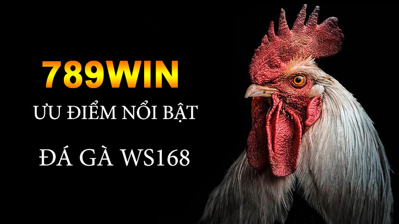 Các điểm nổi bật về sảnh game WS168